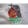 1991 Wales 'World Cup' Special Edition