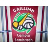 2009 Galway Summer Camps (Gaillimh) Jersey