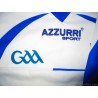 2010-11 Waterford GAA (Port Láirge) Home Jersey