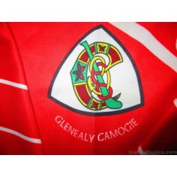 2001-04 Glenealy GAA (Gleann Fhaídhle) Home Jersey Match Worn #24