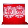 2012-15 Cardiff 'Fire & Passion' Scarf