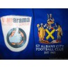 2015-17 St Albans City Mitre Match Worn Away Shirt #5