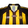 2010-12 Kilkenny Voc. Schools GAA (Cill Chainnigh) O'Neills Match Worn Home Jersey #10