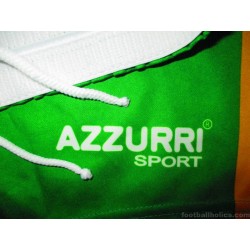 2012-13 Donegal GAA (Dún na nGall) Azzurri Home Shorts - NEW