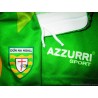 2012-13 Donegal GAA (Dún na nGall) Azzurri Home Shorts - NEW