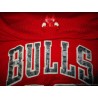 1997-98 Chicago Bulls Nike Authentic Road Jersey Jordan #23