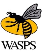 Wasps RFC