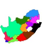 South African Teams